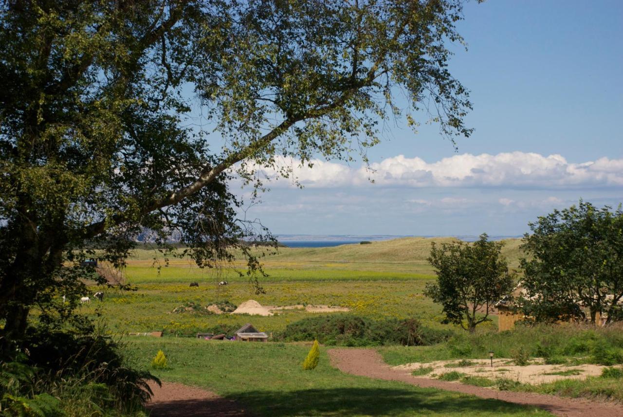 Harvest Moon Treehouse Villa Dunbar Eksteriør billede